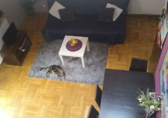 apartment for rent - Toruń, Bielany