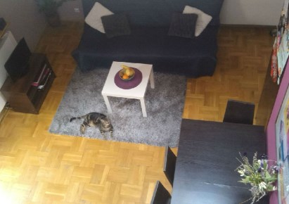 apartment for rent - Toruń, Bielany